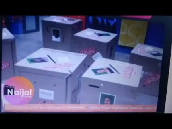 Video: BB NAIJA - Cee C, Alex, Rico Swavey Disqualified